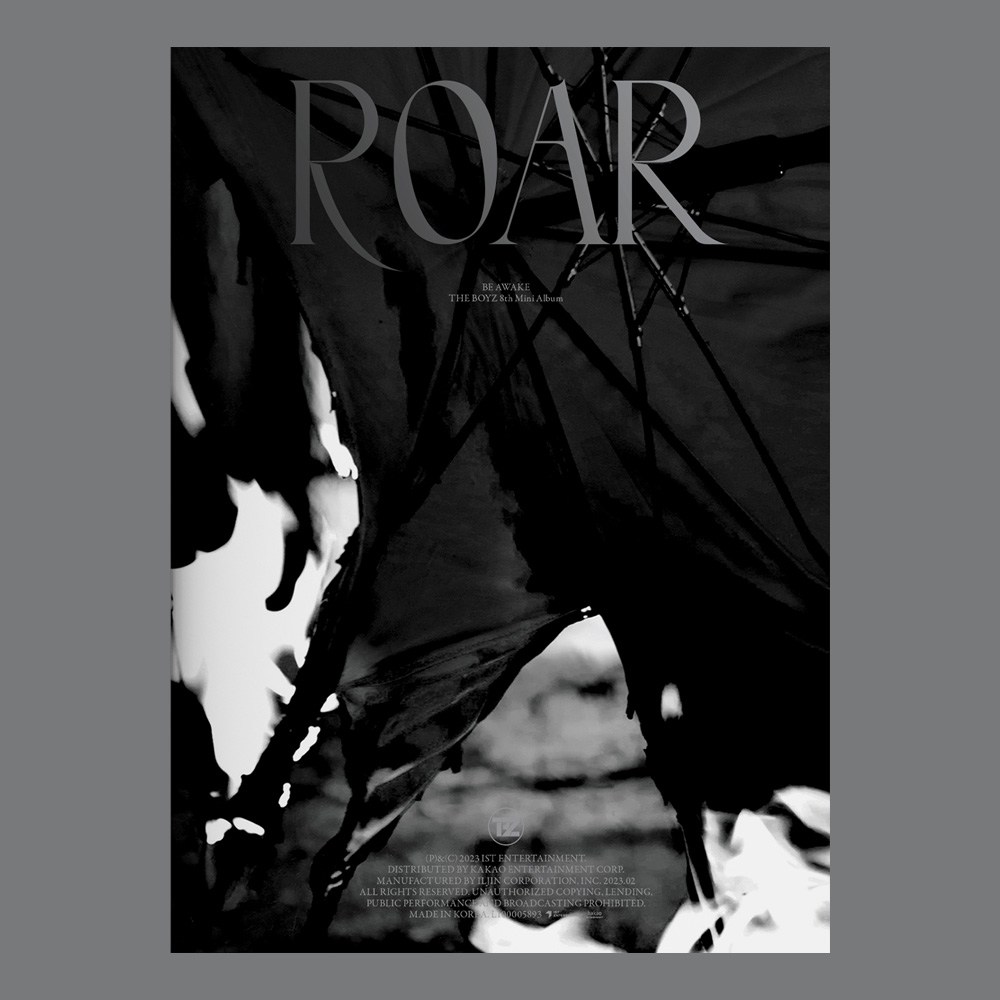 (未開封新品) ザボーイズアルバムBE AWAKE Photobook REACH（フォトブック+リリックブック+CD他）