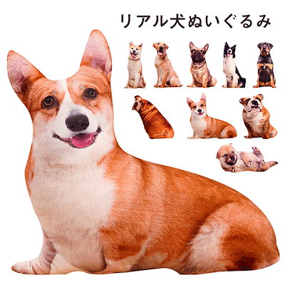 アートドール コーギー 犬 リアル 召喚 ファンタジー ぬいぐるみ
