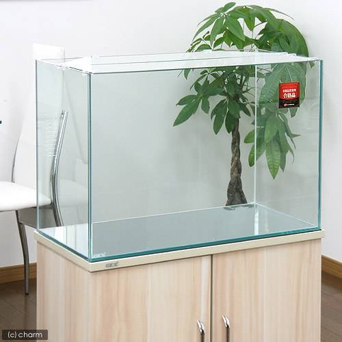 ＧＥＸ　ガラス水槽　グラステリア６００　（６０X３０X４０）　６０ｃｍ水槽（単体）　お一人様１点限り　ＣＲＣ10―11―01―50―00