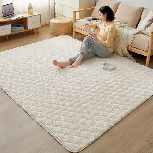 CHOSHOME カーペット ラグ 極厚25mm ラグマット 1.5畳 絨毯 厚手 ラグ 滑り止め 防音 ふわっと手触り 撥水加工 北欧 洗える フランネルラグ 床暖房 ホットカーペット対応 無地 シ