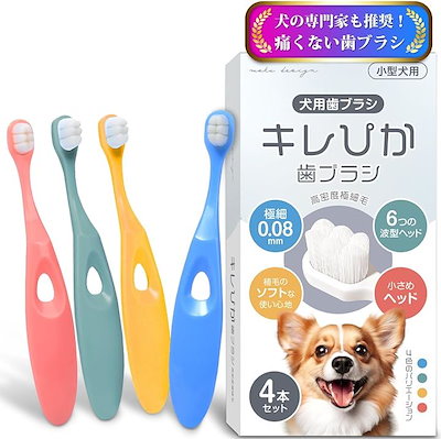 他サイト： 犬 歯ブラシ 小型犬 キレぴか歯ブラシ 獣医師推奨 x 極細毛10000本植毛0.08mm超極細毛 柔らかい 歯茎に優しい 歯垢除去 食品グレード抗菌 5kg以上対応 (4本セット)の商品画像