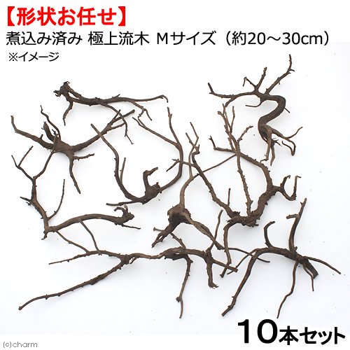 形状お任せ　煮込み済み　極上流木　Ｍサイズ（約２０ー３０ｃｍ）１０本　アクアリウム　テラリウム　レイアウト素材　ＣＲＣ21―10―40―20―00