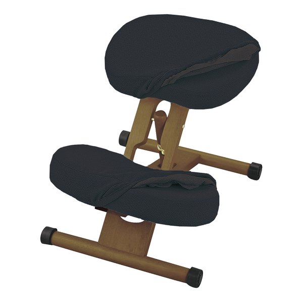 プロポーションチェア 高さ調整/子供イス/ブラック CH-DBR88W 9,415円