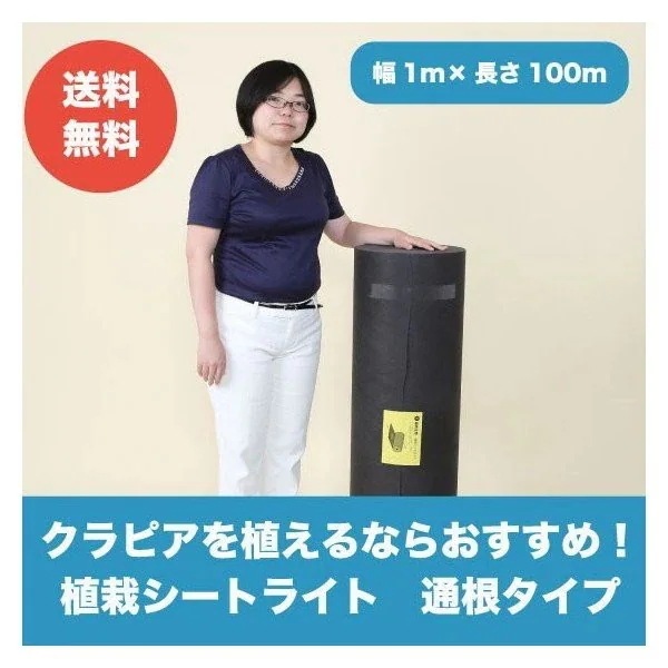 植栽シートライト 通根タイプ クラピア 植栽時におすすめ 1m100ｍ 20,838円