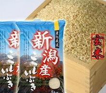 Qoo10 – 「コシヒカリの郷 小出農場」のショップページです。