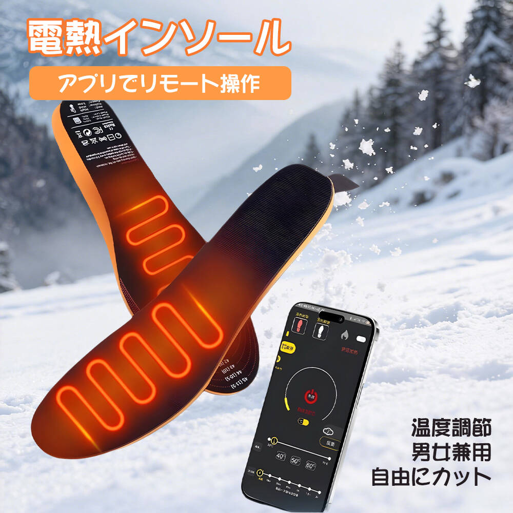 電熱インソール 温度調節リモコン付き ヒーターインソール ヒートインソール 電熱ウェア 中敷き リモコン操作 温度調整 防寒グッズ USB加熱式 足元暖める 防寒対策 冬 電熱 プレゼント 男女兼用
