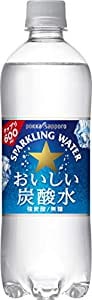 サッポロ おいしい炭酸水 600ml 24本