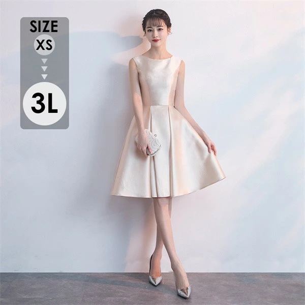 新品登場 ドレス 大人 ピアノ発表会 ドレス 演奏会 膝丈 結婚式 大きいサイズ パーティードレス ノースリーブ 膝丈ドレス ショート丈ドレス お呼ばれ 20代 30代 可愛い da058c6c6m3
