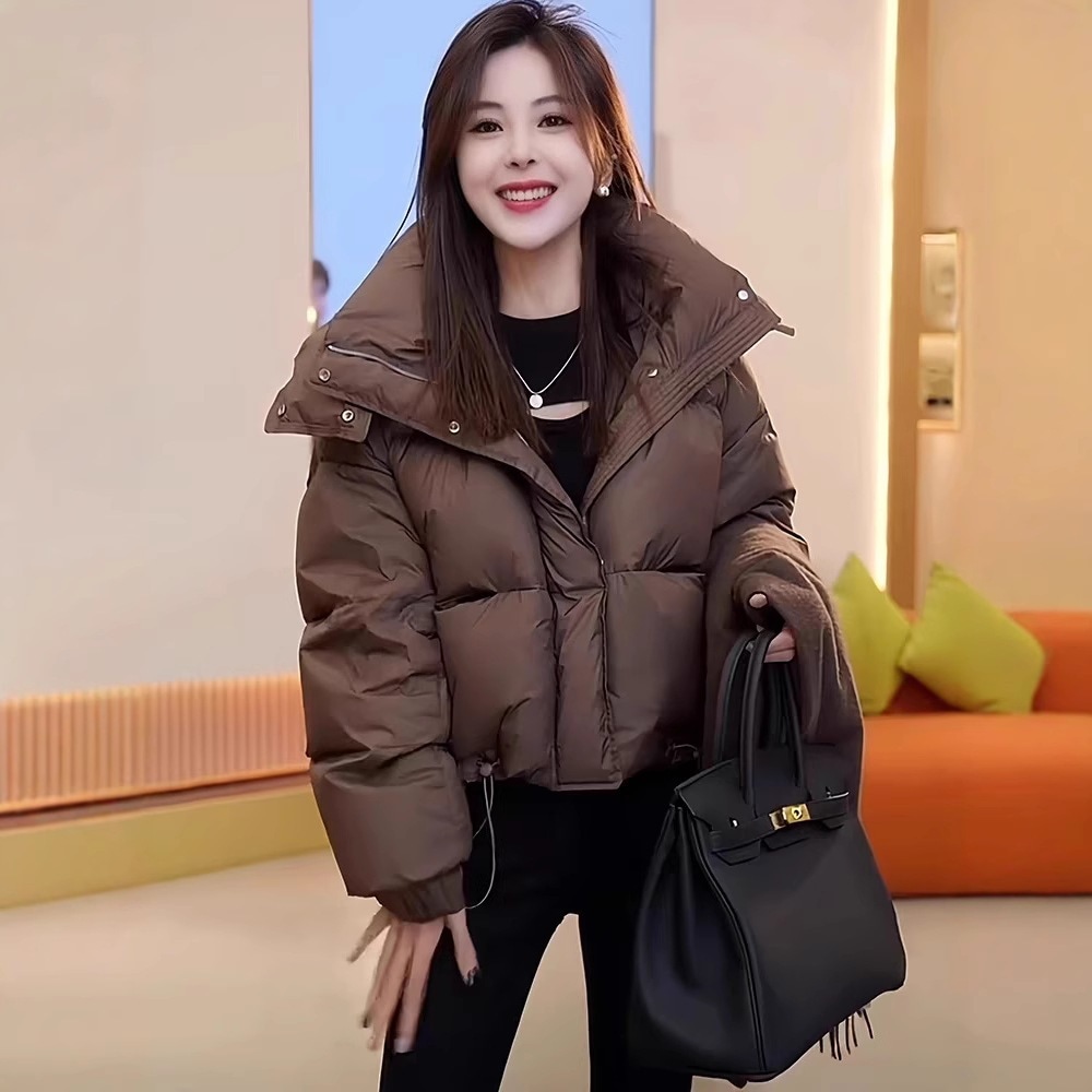 メイラードファッショナブルなショートフード付きダウンジャケット女性のための 2025 秋と冬の新しいスタイルの小さなホワイトダックダウンジャケット