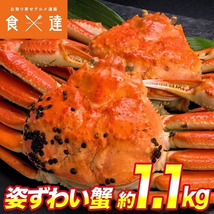 ボイル済み 姿ずわい蟹2尾セット 約1.1kg(1kg-1.2kg) 高級カナダ産 大サイズ ズワイガニ 冷凍便 ギフト 指定日不可