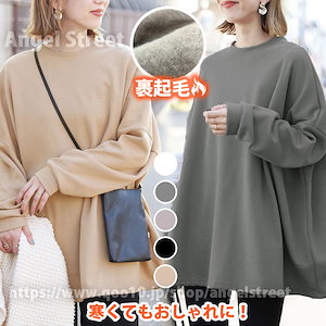 Tシャツ パーカー 裹起毛 長袖 レディース 韓国 ロング オーバーサイズ 無地 秋 冬 厚手