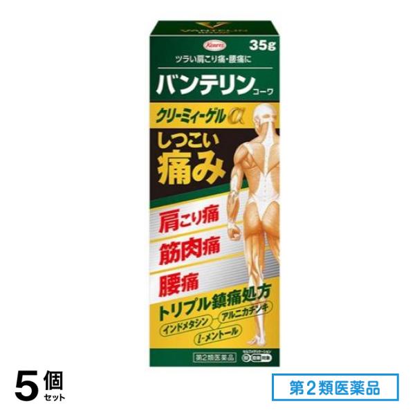 第２類医薬品 コーワクリーミィーゲルα 35g 5個セット
