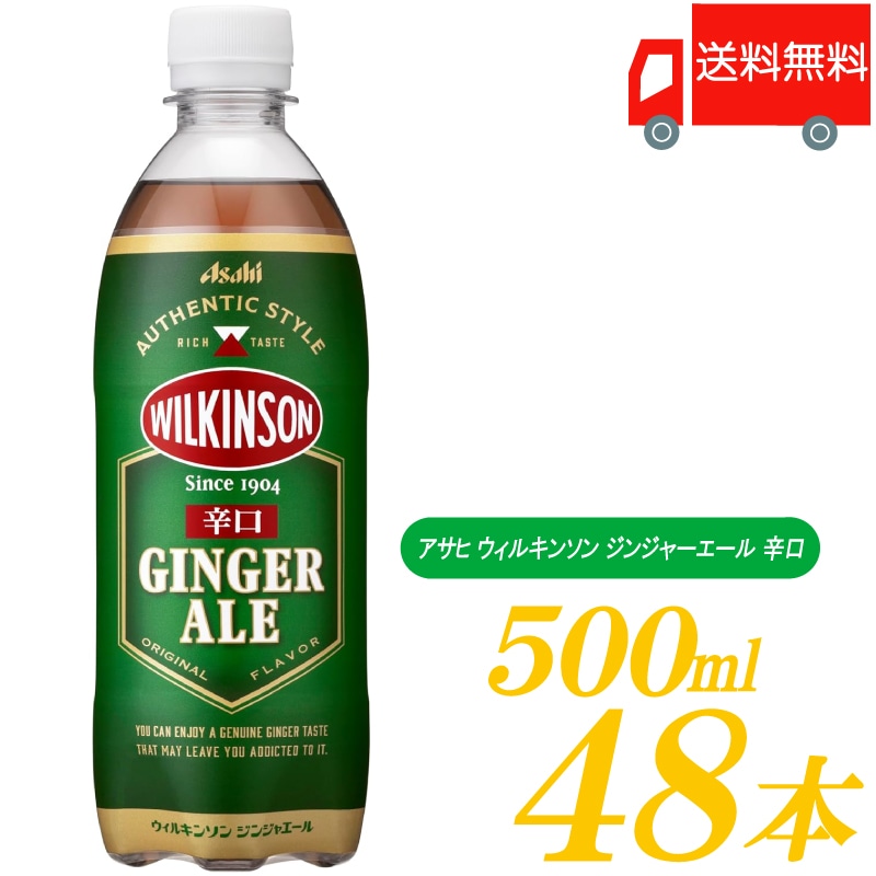 ジンジャーエール 500ml PET 48本 【24本入 2ケース】
