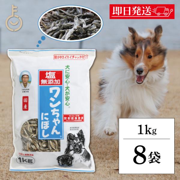 犬 おやつ 塩無添加 国産 ワンちゃんにぼし お徳用 1kg 8個 サカモトにぼし 塩無添加 ワンちゃんにぼし 業務用