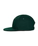 1101_Deep green