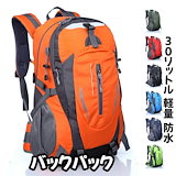 Qoo10] ペンドルトン ミニバックパック ロスルナス 21×9×