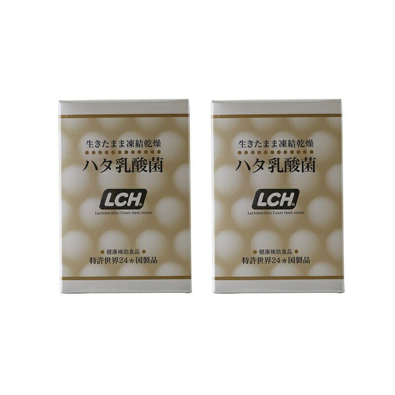 lCH ハタ乳酸菌 30包入2個セット（粉末サプリメント）