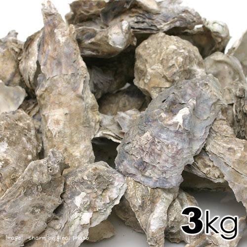 カキガラ　３ｋｇ　ろ過　ＰＨ調整　ＣＲＣ10―45―35―10―00