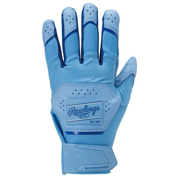 Rawlings ローリングス 2025 Workhorse バッティンググラブ WH25BG-CB 手袋