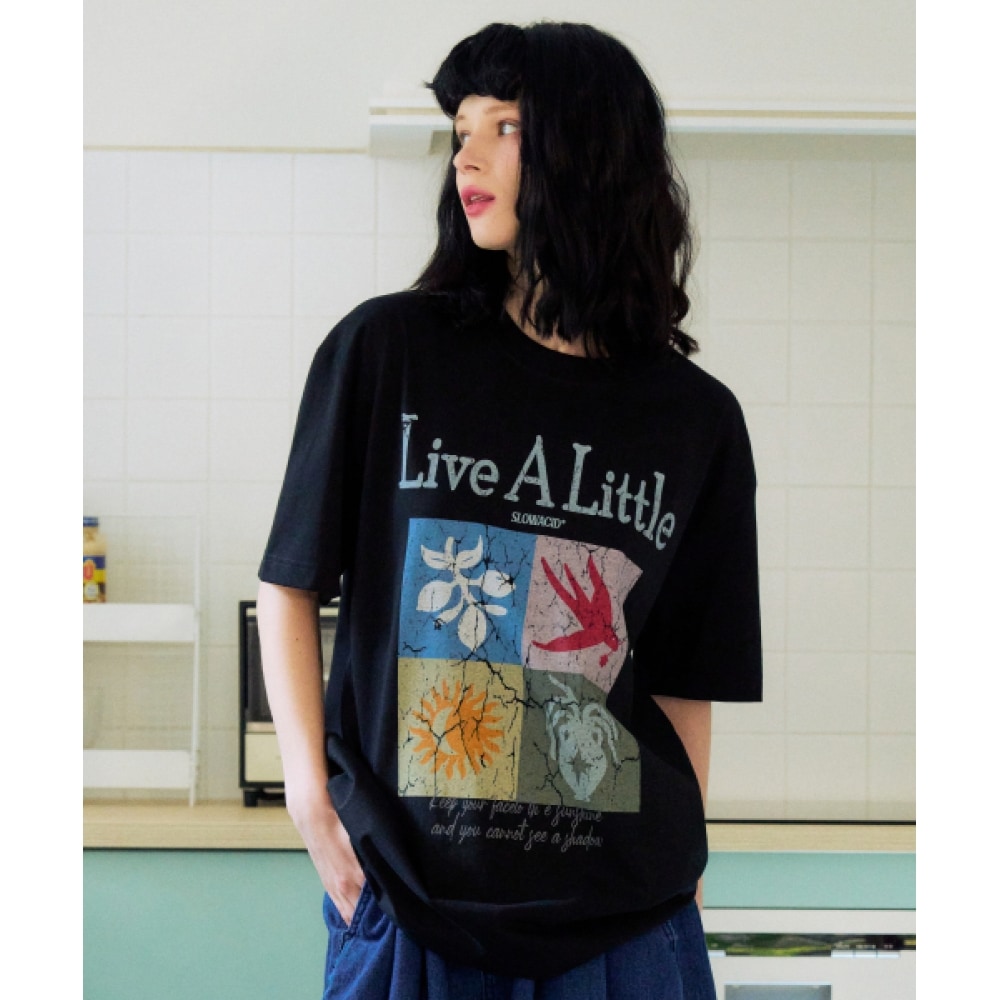 スローアシッドサマーフレーム半袖Tシャツ [ブラック]