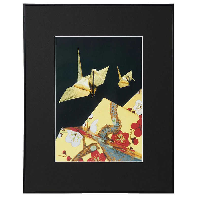 ケンコー　画廊 A3ブラック　AGR-A3-BK 11,550円