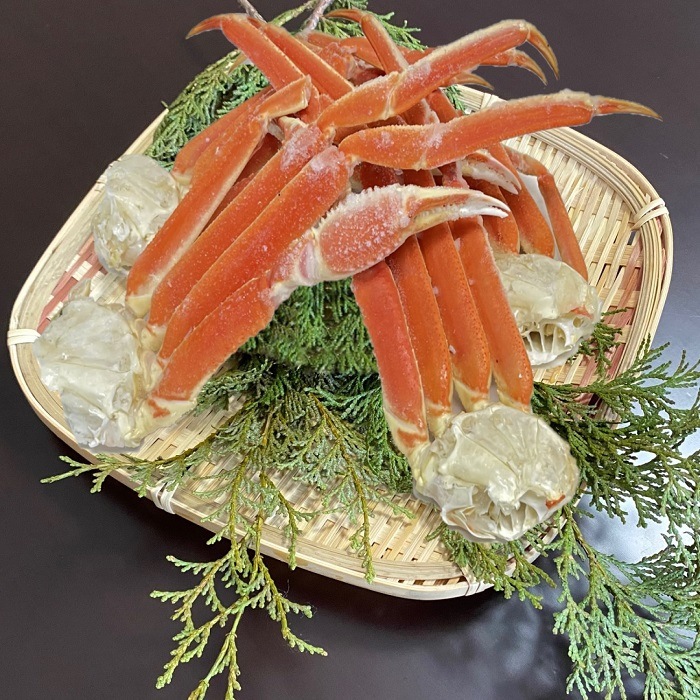 【前田水産】【訳あり】特大本ずわいがに肩脚　2-4肩入れ　（約900ｇ-1ｋｇ分）　足折れ不足有り　ボイル　冷凍　本ずわい　ズワイガニ　ずわい　蟹　かに　母の日　父の日　お中元　お歳暮　敬老　フードロ