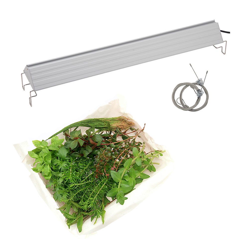 （水草）おまかせ水上葉レイアウトセット　８種（無農薬）＋アクロＬＥＤ　ＧＲＯＷ６００　６０ｃｍ水槽用　本州四国限定　ＣＲＣ10―15―10―40―40