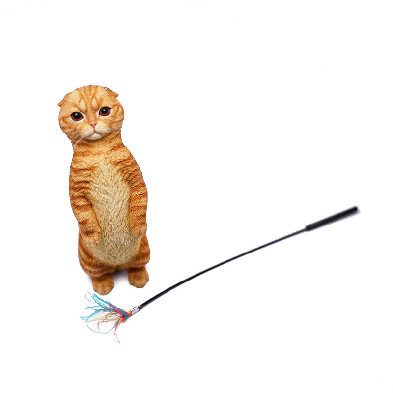 Qoo10] JXK 1/6 サイズ メインクーン 猫 : ホビー・コスプレ