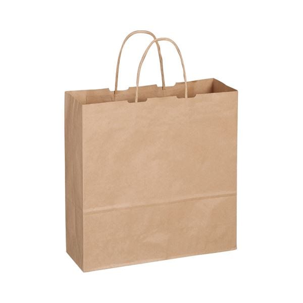 （まとめ） TANOSEE 紙手提袋 丸紐 中 ヨコ320タテ320マチ幅115mm 茶 1パック（50枚） 10セット