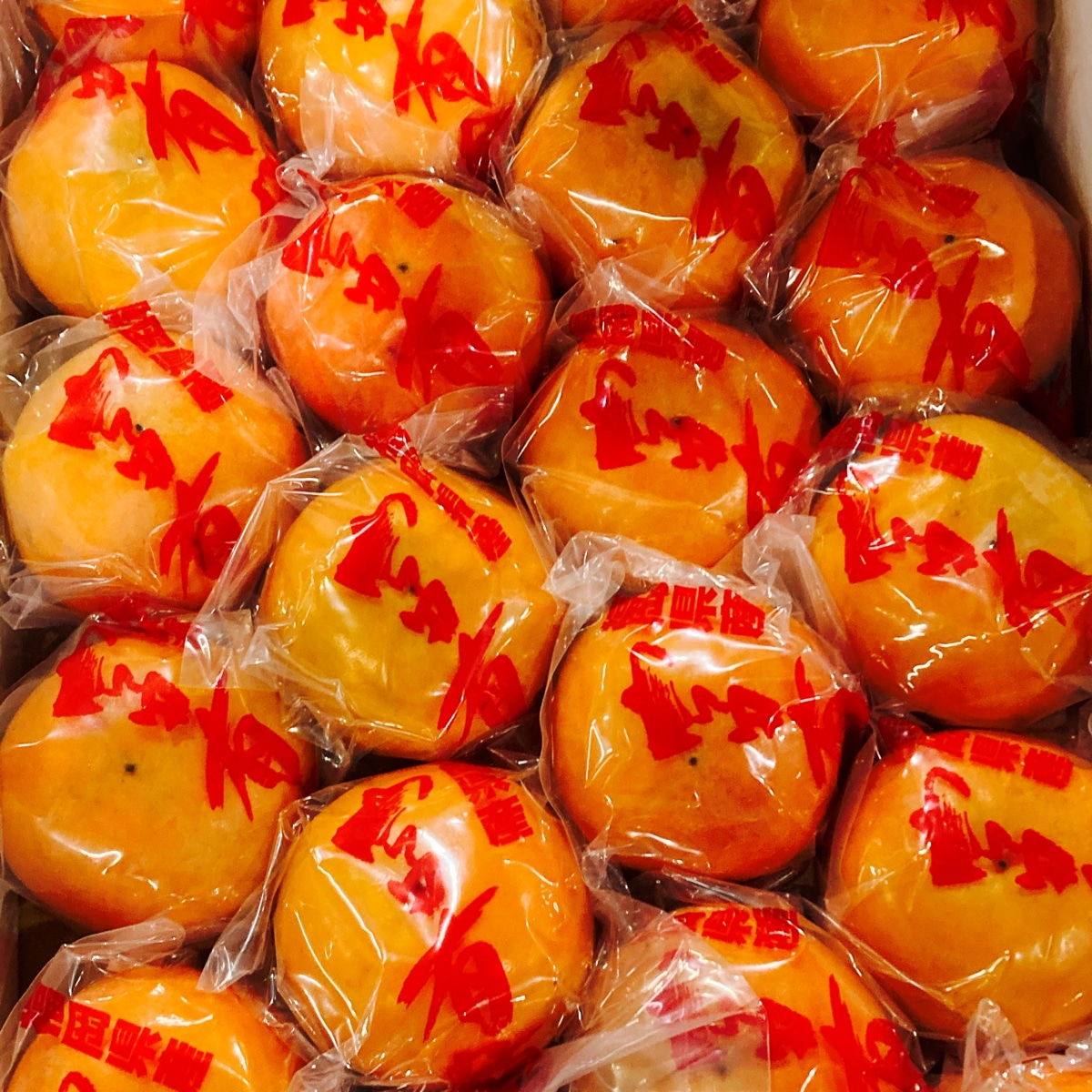 真空パック 富有柿 訳あり 箱込み 約5kg【003】サイズ3ＬからＳ　熊本産 福岡産 家庭用 規格外 家庭用 贈答不可 加工用 通販 真空