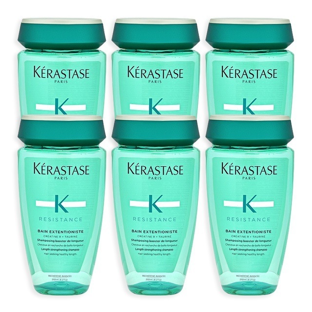 レジスタンス RE バン エクステンショニスト 250ml x 6 お得な6個セット