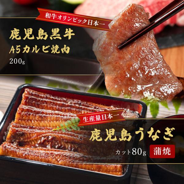 蒲焼うなぎカット済蒲焼（80g）＋鹿児島和牛・A5カルビ焼肉200g / 牛肉 鰻 ウナギ セット ギフト