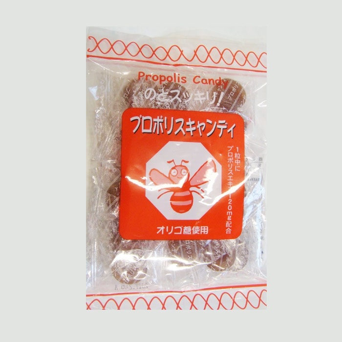 プロポリスキャンディー 100g 10個セット ソーキ プロポリス キャンディ のど飴