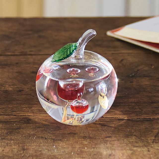 ガラスフロート温度計 りんご 333-218