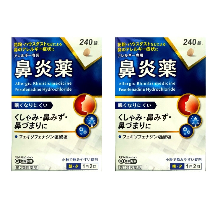【第2類医薬品】アレルギー専用 鼻炎薬 FX鼻炎錠エース 240錠 120日分 2個セット 花粉症 ハウスダスト 眠くなりにくい 大容量