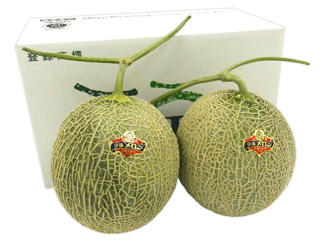 お中元 北海道 =夕張メロン= 共撰/優品以上 2玉 約3.2kg 化粧箱 予約 7月中のお届け