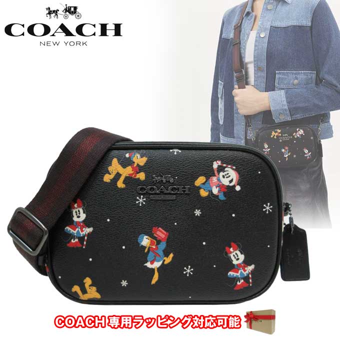 ディズニー コラボ ミッキーミニー ホリデー カメラバッグ CN027 QB/M2【国内即送】