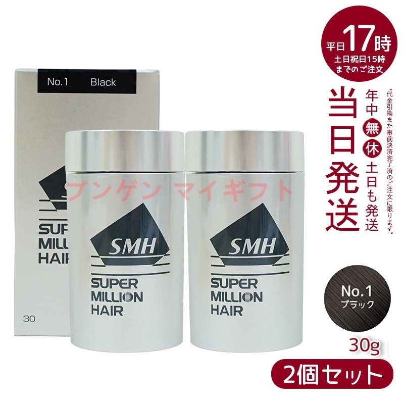 【2個セット】　ルアン スーパーミリオンヘアー 30g No.1 ブラック 髪 頭 薄毛隠し 薄毛 分け目 つむじ ボリューム ふりかけ　洗い用品