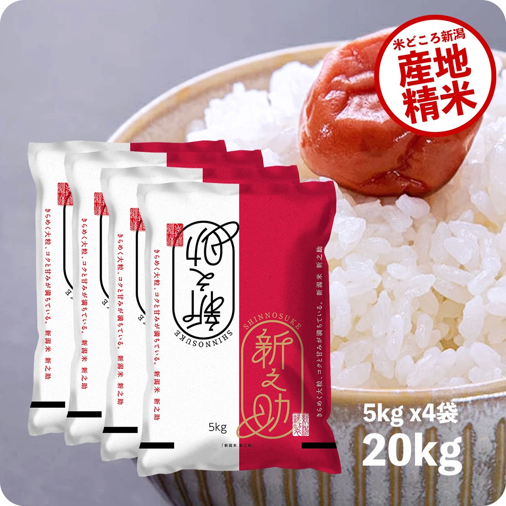 米 20kg 新之助 令和6年産 お米 白米 20キロ