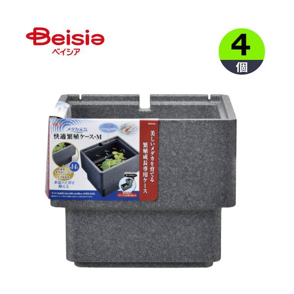 ジェックス メダカ元気快適繁殖ケースM 1個入×4個 まとめ買い