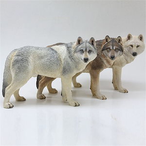 【あたえ❗️】 白いオオカミ　異形コレクション6冊セット 415HNW1QBZL._UF350,350_QL50_.jpg