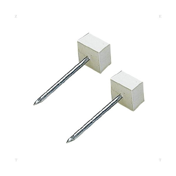 ゼット 野球ベース ハイスピリット専用釘 2本組 ZBV702A