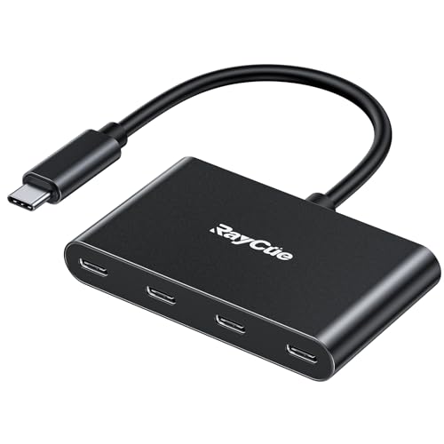 RayCue USB-Cハブ USB-C to 4ポート(4-in-1) 3.2ポート 10Gbps 超高速データ転送 データ破損防止 すべてのポートはマイク/スピーカー接続と互換性 軽量かつ超小型サ