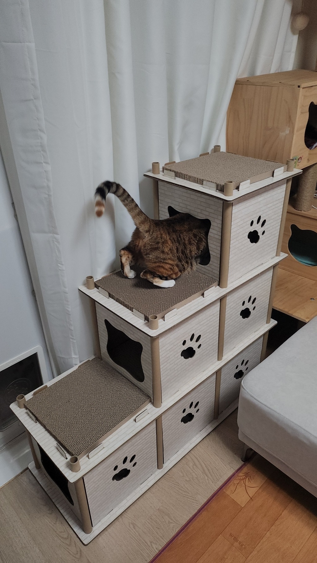 収納型 ペット しぶき屋根 爪とぎ 3段 キャットタワー 3 in 1