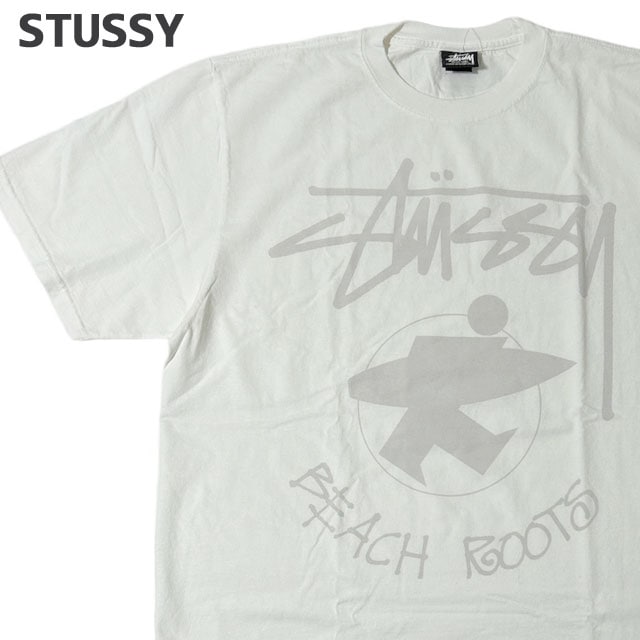 ステューシー STUSSY BEACH ROOTS PIG.DYED TEE ピグメント ダイ 200-009430-040