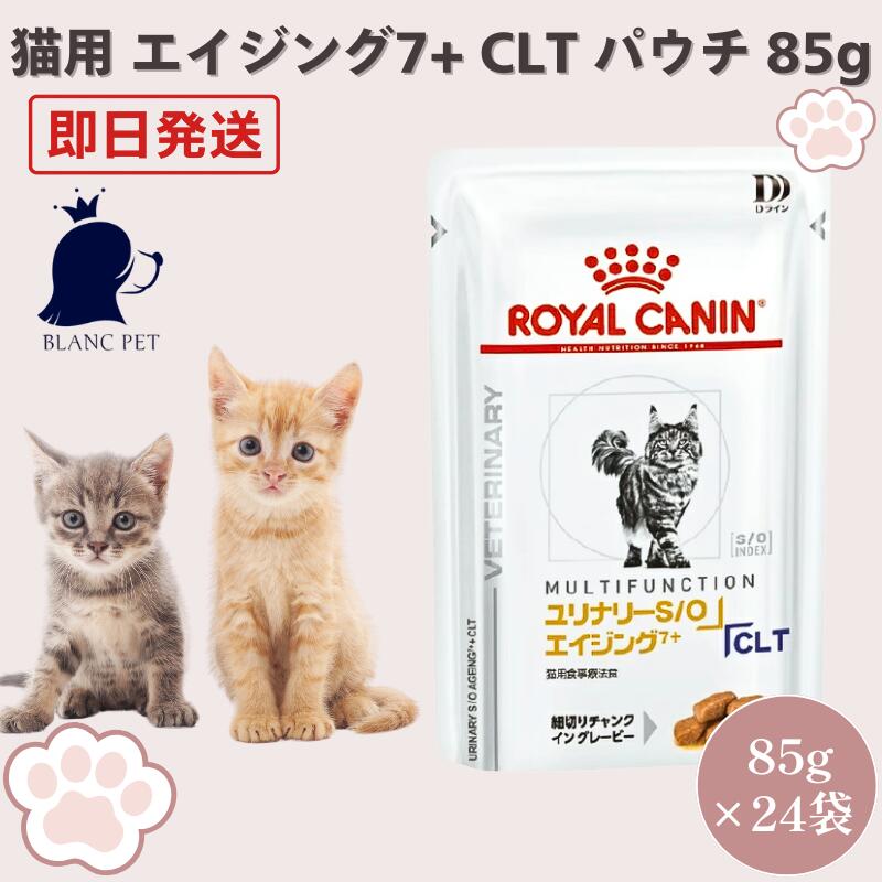 ロイヤルカナン ロイカナ 猫用 ユリナリーS/O エイジング7+ CLT ウェット パウチ 85g 24袋