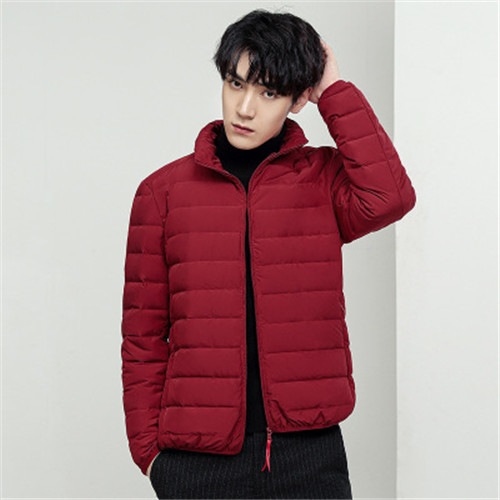 最高の品質の あったか スリム 冬アウター 暖かい 通勤 軽量 カジュアル 保温 トップス タイトシルエット 秋冬 大きいサイズ ダウンコート メンズ 山登り ダウンジャケット Rsa 防寒 冬服 ダウンジャケット サイズ M Aegis Qa
