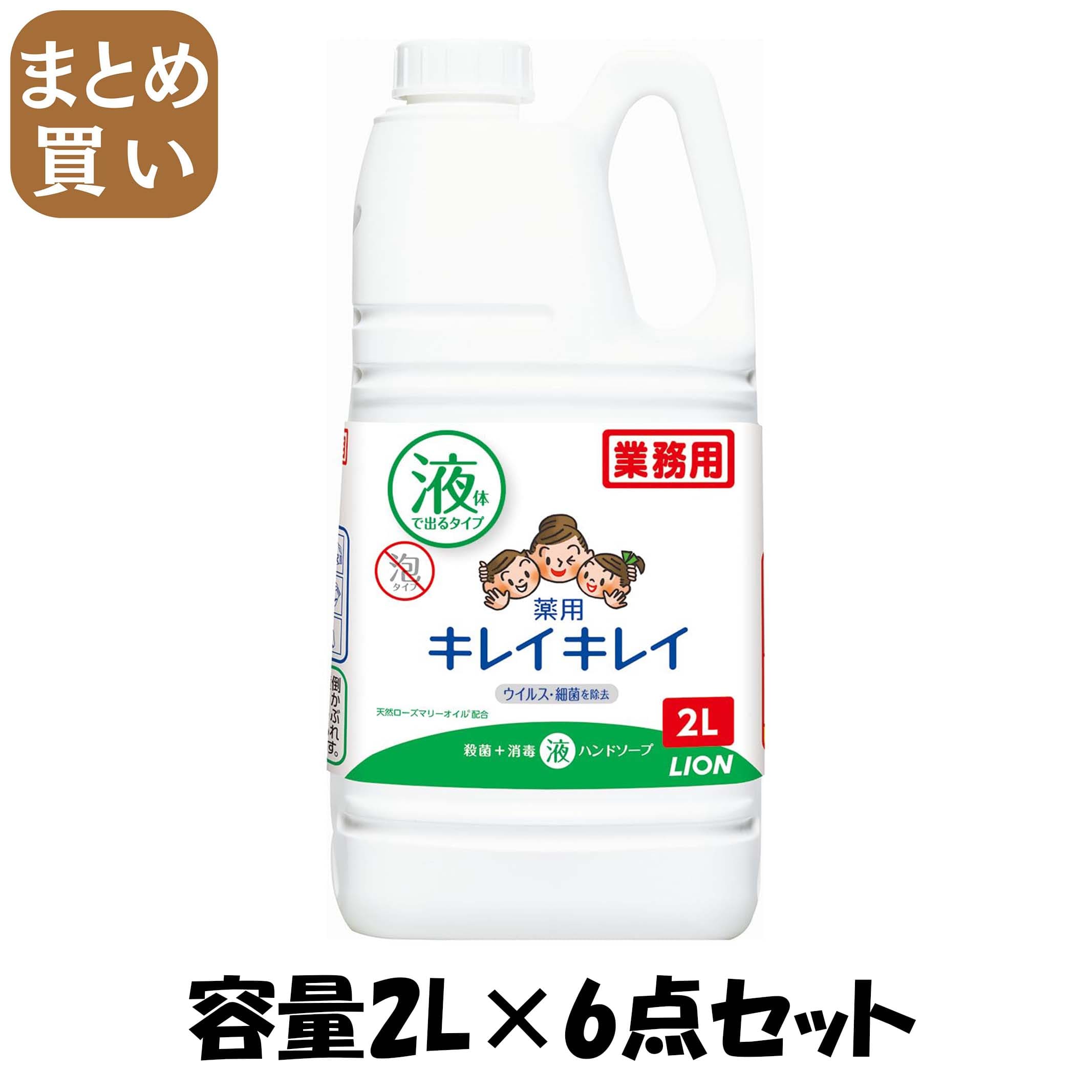 【まとめ買い】業務用キレイキレイハンドソープ２Ｌ 容量2L×6点セット ライオンハイジーン ハンドソープ