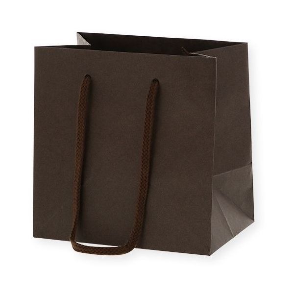 （まとめ買い）シモジマ HEIKO 手提げ紙袋 カラーチャームバッグ MW ブラウン 10枚 幅160xマチ110x高160mm 005330005 [x3セット]
