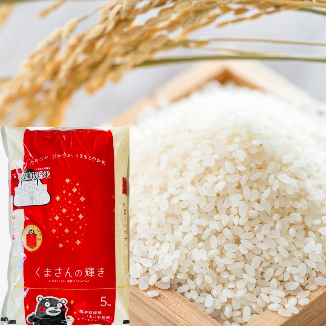 令和6年度 精米 熊本県産 くまさんの輝き 5キロ×2袋 くまもとの米 6年産 米 白米 単一原料 おこめ お米 熊本 パッケージ変更あり
